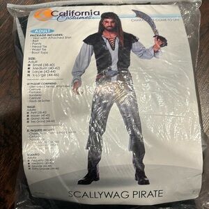 California Costumes Scallywag Pirate Costume M